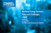 Resilient Energy Systems: Risks and Challenges...Resilient Energy Systems: Risks and Challenges Author Jessica Lau and Eliza Hotchkiss Subject There is growing interest in system resilience,