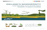 IRELAND’S BIODIVERSITY - Environmental Pillar · Ireland’s Biodiversity 6 Our natural ally in the #ght against Climate Change face an increased risk of extinction. Above 2°C,
