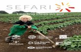 Leading ideas on soil - arablescotland.org.uk · Leading ideas on soils The Scottish Environment, Food and Agriculture Research Institutes (SEFARI) is a collective ... farms, estates
