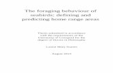 The foraging behaviour of seabirds: defining and predicting home … · 2013-08-05 · predicting home range areas Thesis submitted in accordance with the requirements of the University