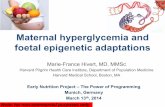 Maternal hyperglycemia and fetal epigenetic adaptationsmunich2014.project-earlynutrition.eu/download... · Systolic blood pressure . Mechanisms involved in foetal metabolic programming