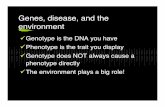 Genes, disease, and the environment€¦ · Genes, disease, and the environment!! Genotype is the DNA you have!! Phenotype is the trait you display!! Genotype does NOT always cause