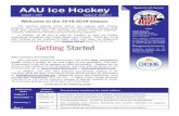 AAU Ice Hockeyimage.aausports.org/dnn/hockey/2018/AAU-Ice-Hockey-Newsletter-2018-Aug.pdfBeyond our four (4) regular editions of this newsletter, we plan to publish occasional Special