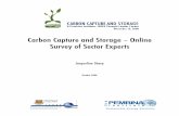 Carbon Capture and Storage – Online Survey of Sector Experts · 2008-11-03 · The Pembina Institute / ISEEE 3 Carbon Capture and Storage – Online Survey of Sector Experts 2.