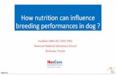 How nutrition can influence breeding performances in dog€¦ · Cleft palates : a main concern in dogs ... Folic acid and cleft palate… BUT don’tforget the other causes Selection