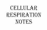 CELLULAR RESPIRATION NOTES - Mr. UchimeRESPIRATION NOTES •The transformation of chemical energy in food into chemical energy cells can use: ATP, adenosine triphosphate. •These