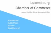 Luxembourg Chamber of Commerce - Chambre de Commerce · mercer quality of living report 2016 96% are satisfied living in luxembourg 95% are satisfied with the state of cleanliness