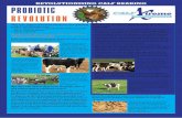 CALF treme CALF treme - Probiotic Revolution · PDF file CALF treme PROBIOTIC BOOSTER Revolutionising calf rearing Pure Concentrate Calf Xtremeuses selected high quality ingredients