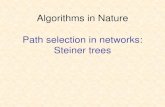 Algorithms in Nature Path selection in networks: Steiner trees02317/slides/lec_12.pdf · - There is a Steiner tree with 4q edges iff there is a solution to X3C with q sets. Steiner
