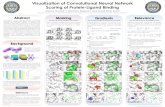 Visualization of Convolutional Neural Network …bits.csb.pitt.edu/files/CNN_Viz_ACS17.pdf1Department of Computer Science,2Department of Biological Sciences, 3Department of Computational