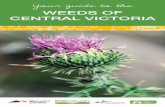 Weeds of Central Victoria WEB - Shire of Mitchell · 2018-10-29 · Why Control Weeds Apart from the legislative requirement to control noxious weeds, it is beneficial to control