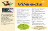 earth-wise guide toearth-wise guide to Weedsearth-wise guide toearth-wise guide to Weeds description A weed is a plant that is growing where it is not wanted; it easily reproduces