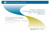 Agriculture: Future Scenarios for Southern Africa€¦ · 7. Challenges and Opportunities in the Development of Agriculture and the 12 Livestock Subsector 7.1 The effect of traditional