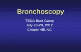 TSDA Boot Camp July 26-29, 2012 Chapel Hill, NC · 2019-10-08 · The Larynx Epiglottis To the Esophagus Cuneiform and corniculate cartilage Aryepiglottic fold . ... Left bronchial