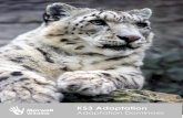 KS3 Adaptation - Marwell Zoo · 2019-04-15 · Adaptation Dominoes This classroom based activity consists of 15 domino cards to print out; each one with an animal photo on one half
