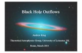 Black Hole Outflows - Astrophysics · Super-Eddington Accretion most mass expelled as outflow . disc most photons eventually escape along cones near axis on average photons give up