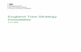 England Tree Strategy - Consultation...Purpose This consultation will inform a new England Tree Strategy which we will publish later this year, setting out our forestry policy through