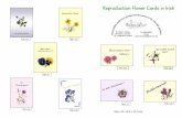 Reproduction Flower Cards in Irish - St. Mary's Abbey, Glencairn · 2018-01-18 · Reproduction Flower Cards in Irish Size: A6 (14.8 x 10.5 cm) RP I 81 RP I 82 RPI 80b ...