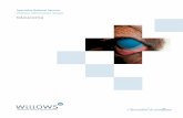Specialist Referral Service Willows Information Sheets...glaucoma). Common causes of secondary glaucoma are inflammation inside the eye or a shift of the position of the lens within