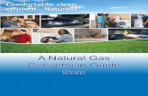 A Natural Gas Conversion Guide from...please consult with a licensed heating contractor or plumber. House Piping: All inside and outside house piping is the responsibility of the customer.