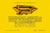 OrientaciOnes labOrales - COnnecting REpositoriesque los valores de la democracia tienen ya raíces en Latinoamérica. De hecho, si uno siguiera el mismo Latinobarómetro tendría
