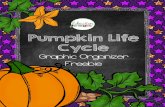 Pumpkin Life Cycle - Amazon S3 · 2017-09-14 · Life Cycle of a Pumpkin Education to the Core . Oval Outline Name!_____ Date!_____ Life Cycle of a Pumpkin Education to the Core .
