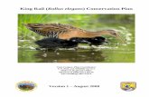 King Rail (Rallus elegans) Conservation Plan...southern Ontario, throughout Cuba and in Central Mexico (Figure 1). Two recognized subspecies of the King Rail are Rallus elegans elegans