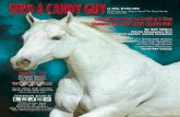 Shipped Semen OK Bred Stallion Ranch Office: (308) 348 ...jonesonranch.com/ad_proofs/2018/SACGJan2018_Flyer.pdf · (PYC Paint Your Wagon-Send The Guys Candy, Disco Jerry T B) By $29