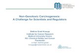 Non-Genotoxic Carcinogenesis: A Challenge for Scientists and … · 2015-12-11 · Relevance of Rodent Non-genotoxic Carcinogens Problem Statement • Substantial resources are spent