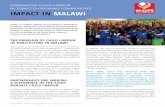 THE PROBLEM OF CHILD LABOUR IN AGRICULTURE IN MALAWI · Child Labour is a cross-cutting issue and requires cross-cutting multi-stakeholder solutions to effectively address its root-causes.