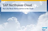 SAP NetWeaver Cloud€¦ · This presentation and SAP‘s strategy and possible future developments are subject to change and may be changed by SAP at any time for any reason without