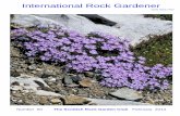International Rock Gardener - srgc.org.uk€¦ · Now with more and more dryland rock gardens being created that have a xeriscape premise, ‘Dracos’ certainly have many new opportunities