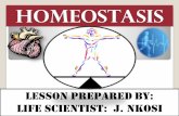 homeostasis - brettonwoodhighschool.co.zabrettonwoodhighschool.co.za/wp-content/uploads/2020/04/HOMEOS… · CONCEPTS WHAT IS HOMEOSTASIS? Maintenance of a constant INTERNAL ENVIRONMENT