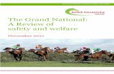 The Grand National: A Review of safety and welfare · The Grand Nat ional: A Review of safety and welfare should continue to guarantee Going no firmer than Good, and should aim to