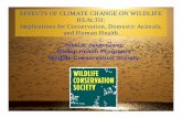 EFFECTS OF CLIMATE CHANGE ON WILDLIFE …...EFFECTS OF CLIMATE CHANGE ON WILDLIFE HEALTH: Implications for Conservation, Domestic Animals, and Human Health Pablo M. Beldomenico Global