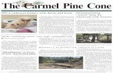 The Carmel Pine Conepineconearchive.com/170519PCfp.pdf · 2017-05-19 · scrub jays, a California Towhee, a Eurasian collared dove, three great horned owls, a house finch, eight house