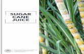SUGAR CANE JUICE · century Paleo Diet a bit… tricky. Because the diet is theoretical in nature and up for wide interpretation, no single unified ‘Paleo Diet’ definition exists,