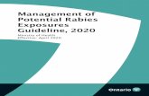 Management of Potential Rabies Exposures Guideline, 2020health.gov.on.ca/en/pro/programs/publichealth/oph... · 2020-06-09 · Rabies Prevention and Control Protocol, 2020 (or as