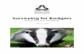 Surveying for Badgers · 2019-04-11 · Surveying for Badgers: Good Practice Guidelines 1 1 Using the Guidelines The methods described in these Guidelines provide a robust and repeatable