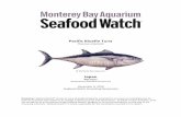 Pacific Bluefin Tuna - Seafood Watch ... Pacific bluefin tuna has been a commercially important fish