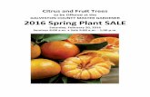to be Offered at the GALVESTON COUNTY MASTER ......2016 Spring Plant SALE Saturday, February 20, 2016 Seminar 8:00 a.m. • Sale 9:00 a.m. - 1:00 p.m. CITRUS TREES CARRIZO ROOTSTOCK
