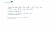 Capturing the Benefits of Energy Efficiency for Non-Profit ... · The non-profit sector is an important actor in this transition in its position as an enabler for a wide range of