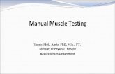Manual Muscle Testing - culib.pt.cu.edu.eg/Introduction to Manual M uscle Testing.pdf · Manual Muscle Testing Evaluation of the function and strength of individual muscles and muscles