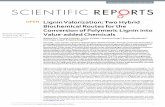 Lignin Valorization: Two Hybrid Biochemical Routes for the ...polympart.com/wp-content/uploads/2017/12/Lignin-Valorization-Two... · genes. Thus, for lignin valorization, a hybrid
