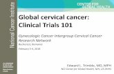 Global cervical cancer: Clinical Trials 101 Trimble SLIDES...Clinical Trials 101 Gynecologic Cancer Intergroup Cervical Cancer Research Network Bucharest, Romania February 3-4, 2018