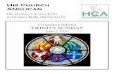 Companion Bulletin TRINITY SUNDAY€¦ · 6 THE ATHANASIAN CREED (RCA version excerpt – Please stand) We worship one God in Trinity and the Trinity in Unity, * neither confusing
