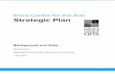 Elora Centre for the Arts Strategic Plan...Guelph, Ontario, N1H 8H5 519-500-5150 4 Report Previous Consultations & Data Sage Solutions - Rejuvenating the Vision of Elora Centre for