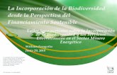 La Incorporación de la Biodiversidad desde la Perspectiva del … · 2018-08-08 · ¿Cuáles son los Principales Riesgos de no incorporar la Biodiversidad en los Proyectos? 9 •La