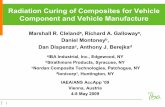 Radiation Curing of Composites for Vehicle Component and ......Xray cured carbon fiber composites can be used for all auto structures, including the vehicle chassis and body frame.