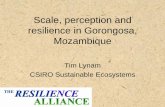 Scale, perception and resilience in Gorongosa, Mozambique · Marromeu and GNP. 1983 to 1987 Destruction of wildlife by FRELIMO / RENAMO / ZNA. 1992 to 1994 Destruction of wildlife